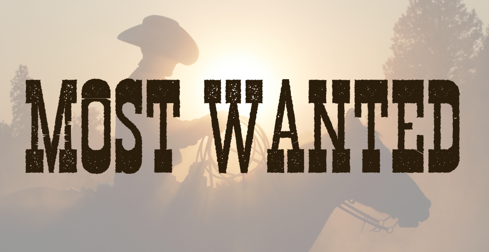 Most Wanted Bourbon bottles