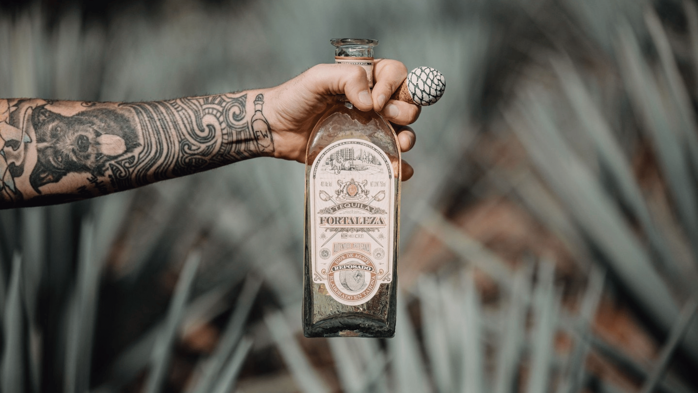 6 Top-Shelf Brands for National Tequila Day